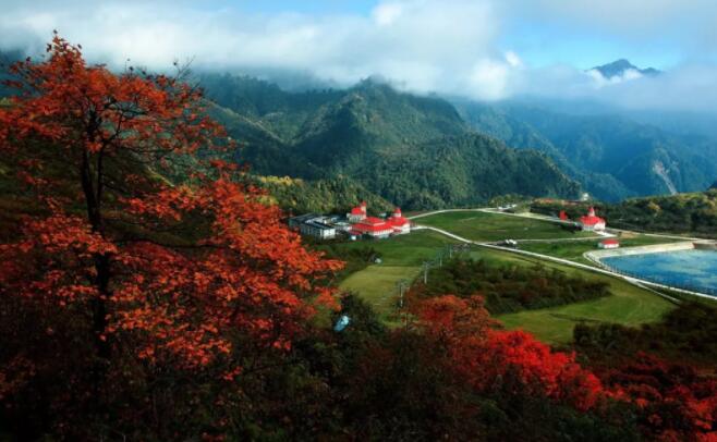 大邑雾山｜秋色与山为家 红叶与雾为衣！